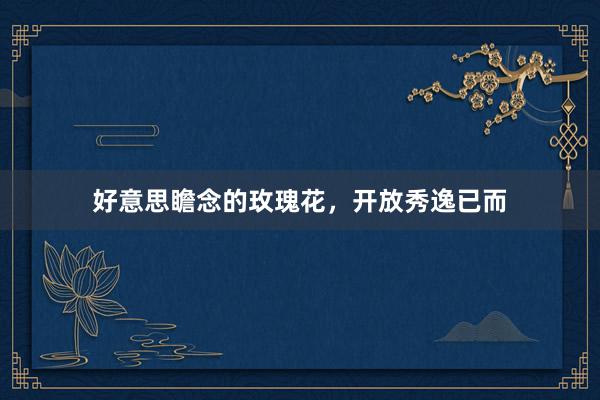 好意思瞻念的玫瑰花，开放秀逸已而