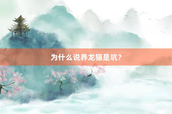 为什么说养龙猫是坑？